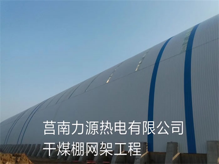 重慶力源熱電有限公司干煤棚網架工程